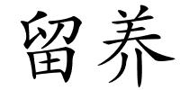 留养的解释