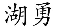 湖勇的解释