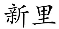 新里的解释