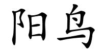 阳鸟的解释