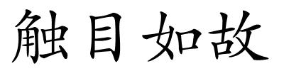 触目如故的解释