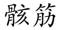 骸筋的解释