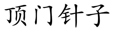 顶门针子的解释