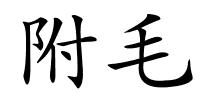 附毛的解释