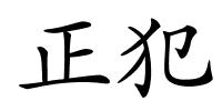 正犯的解释