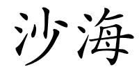 沙海的解释