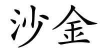 沙金的解释