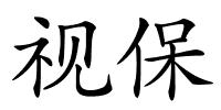 视保的解释