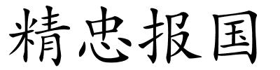 精忠报国的解释