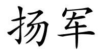 扬军的解释