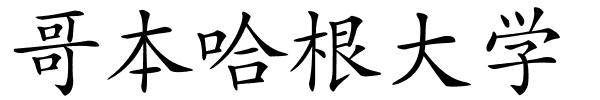 哥本哈根大学的解释