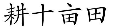 耕十亩田的解释