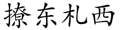 撩东札西的解释