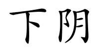 下阴的解释