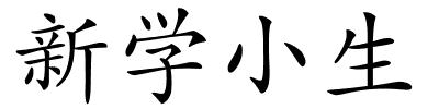 新学小生的解释