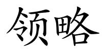 领略的解释