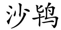 沙鸨的解释