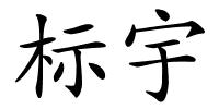 标宇的解释