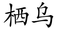 栖乌的解释