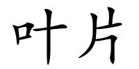 叶片的解释