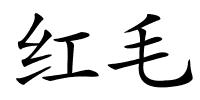 红毛的解释