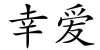 幸爱的解释