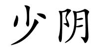 少阴的解释