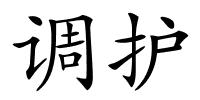 调护的解释