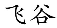 飞谷的解释