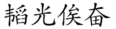 韬光俟奋的解释