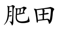 肥田的解释