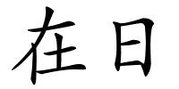 在日的解释