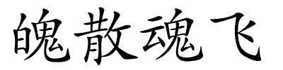 魄散魂飞的解释