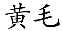 黄毛的解释