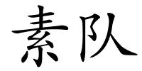 素队的解释