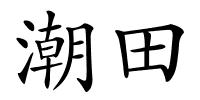 潮田的解释