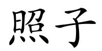 照子的解释