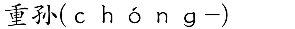 重孙(ｃｈóｎｇ-)的解释