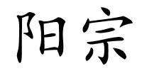 阳宗的解释