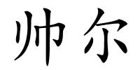 帅尔的解释