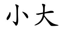 小大的解释