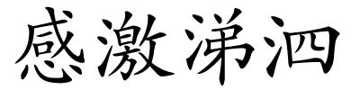 感激涕泗的解释