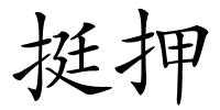 挺押的解释