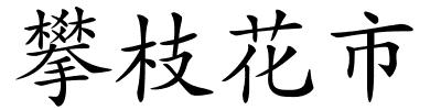 攀枝花市的解释