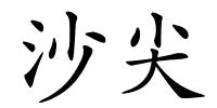 沙尖的解释