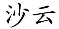 沙云的解释