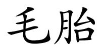 毛胎的解释