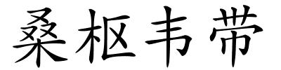 桑枢韦带的解释