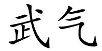 武气的解释