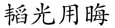 韬光用晦的解释